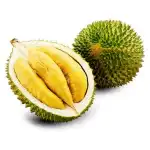 Durian Fruit